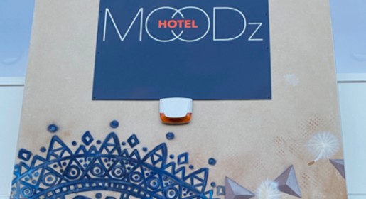 Fresque-du-moodz-hotel-vienne-Isere